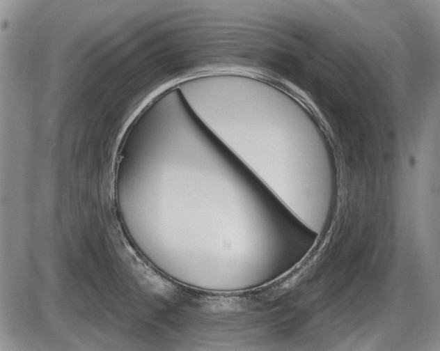 X0000086101236200703231042