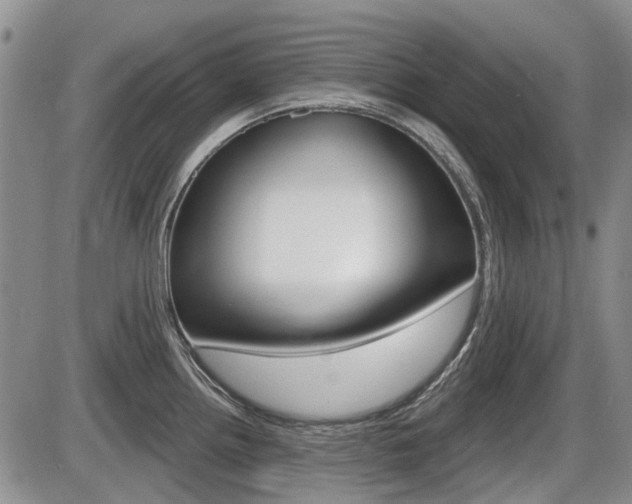X0000086101242200703231042