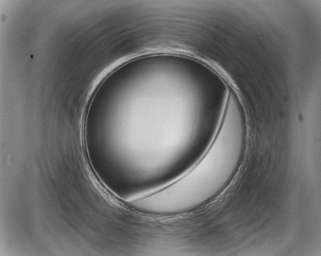 X0000086101246200703231042