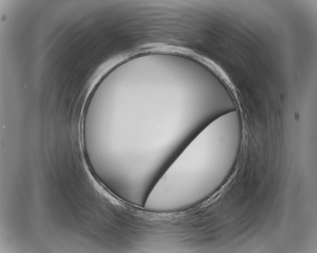 X0000086101247200703231042