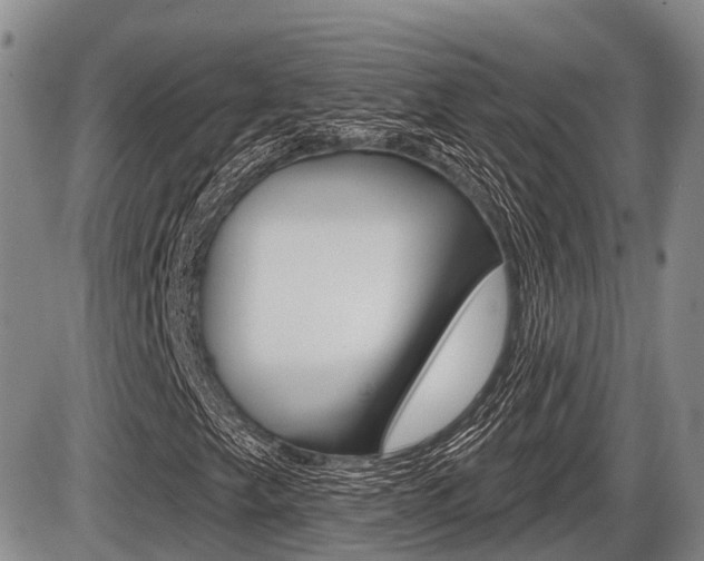 X0000086101249200703231042