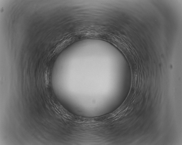 X0000086101250200703231042
