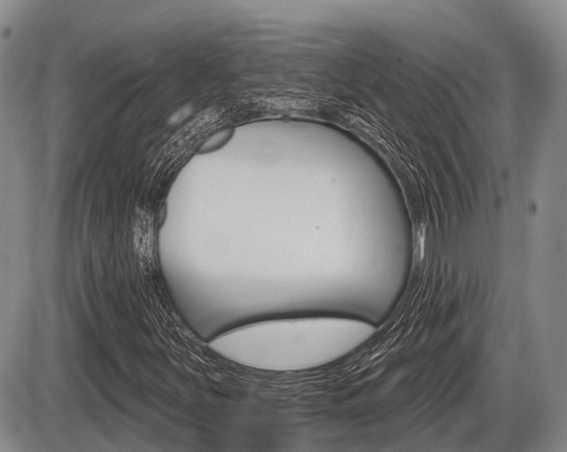 X0000086101251200703231042