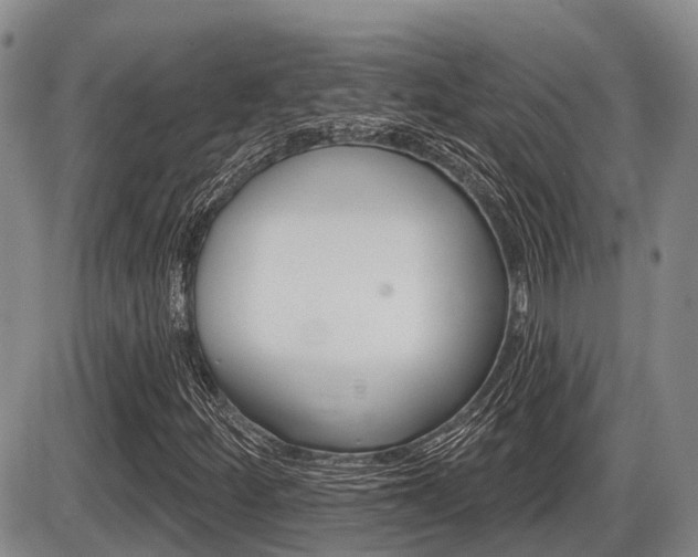 X0000086101252200703231042