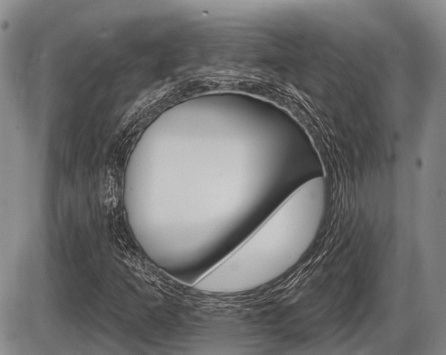 X0000086101253200703231042