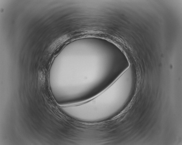 X0000086101257200703231041