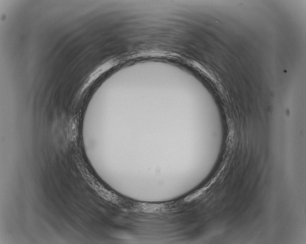 X0000086101258200703231041