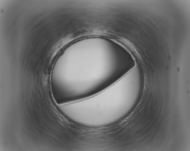 X0000086101260200703231041