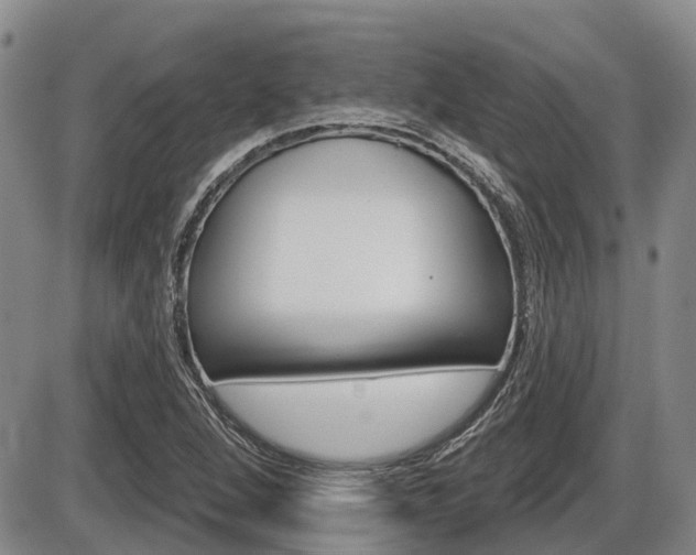 X0000086101264200703231041