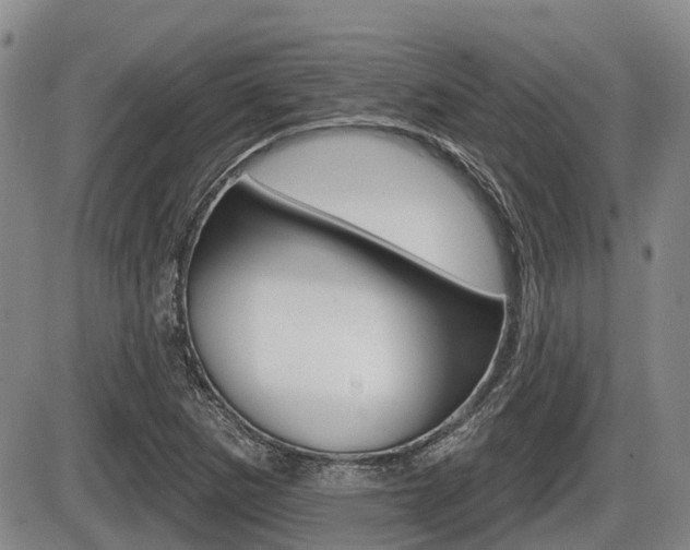 X0000086101265200703231041