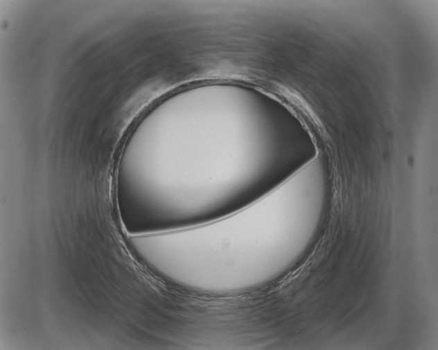 X0000086101268200703231041