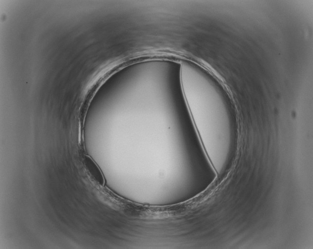 X0000086101269200703231041