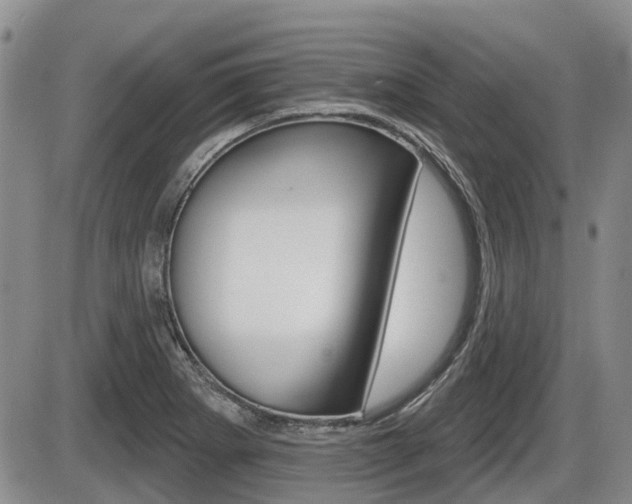 X0000086101273200703231041