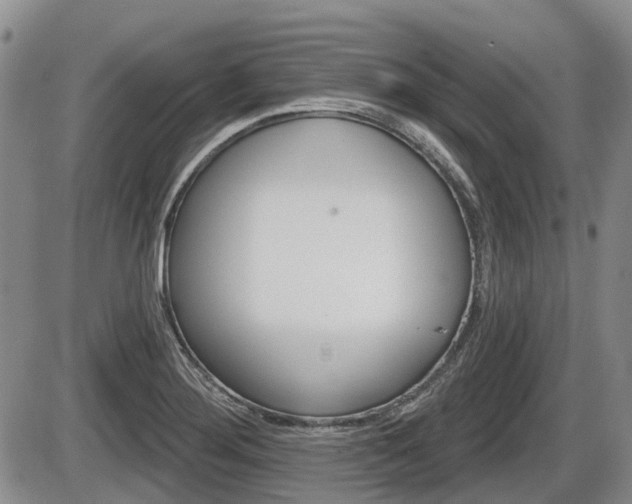 X0000086101276200703231041