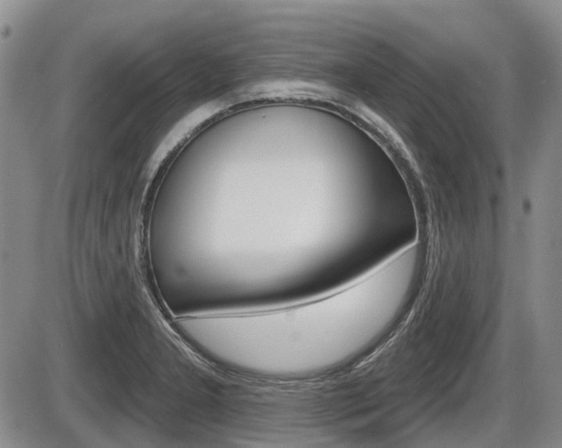 X0000086101277200703231041