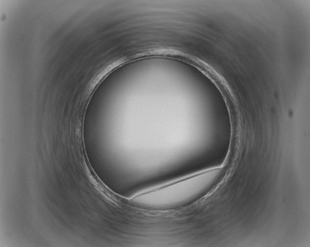 X0000086101281200703231041
