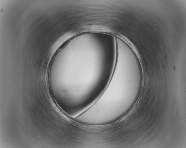 X0000086101293200703231041