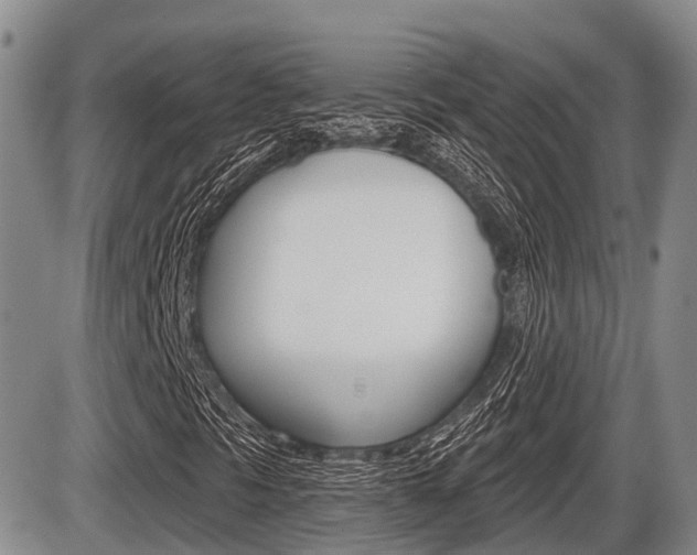 X0000086101297200703231040