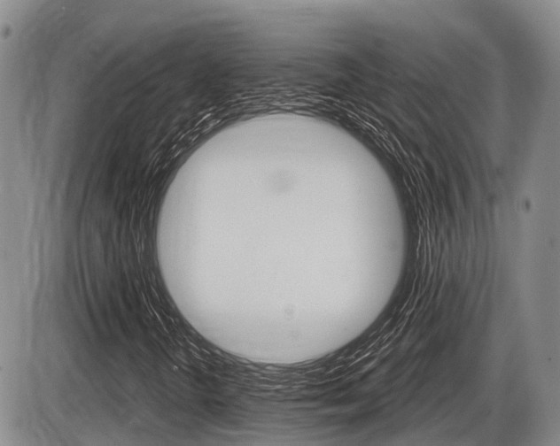 X0000086101298200703231040