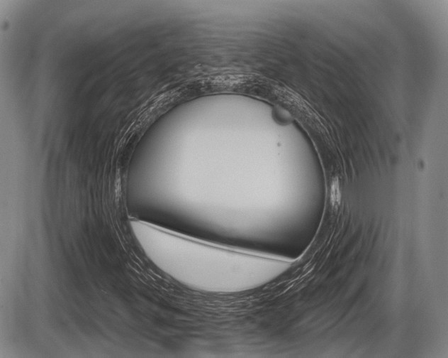 X0000086101299200703231040