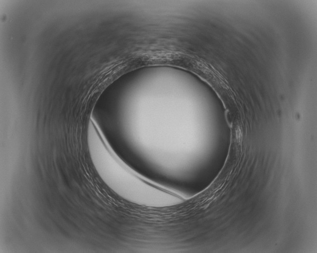 X0000086101300200703231040