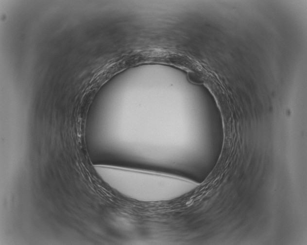 X0000086101301200703231040