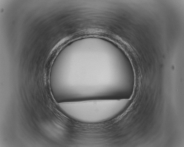 X0000086101306200703231040