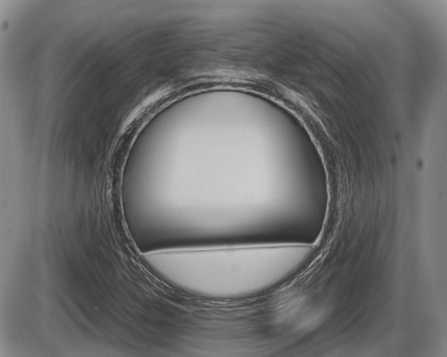 X0000086101307200703231040