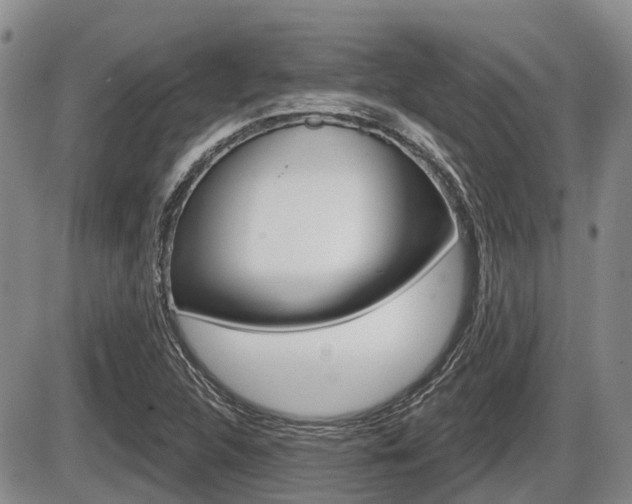 X0000086101312200703231040