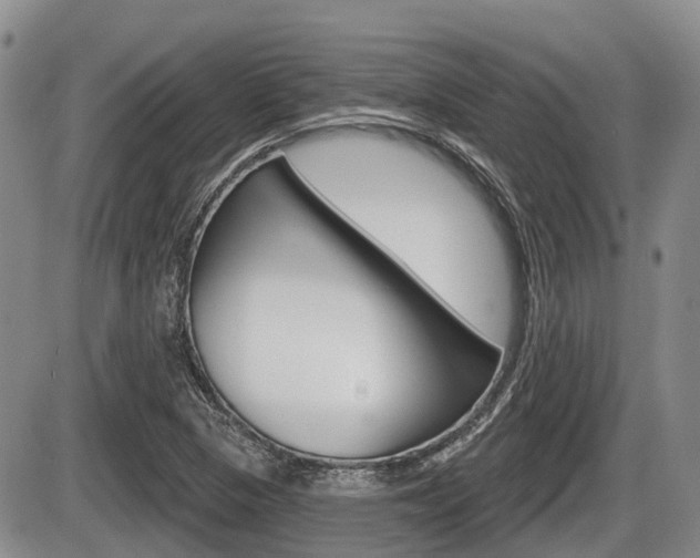 X0000086101313200703231040