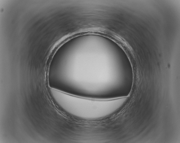 X0000086101316200703231040