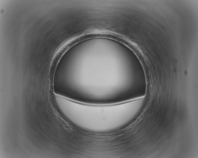 X0000086101319200703231040