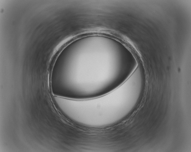 X0000086101320200703231040