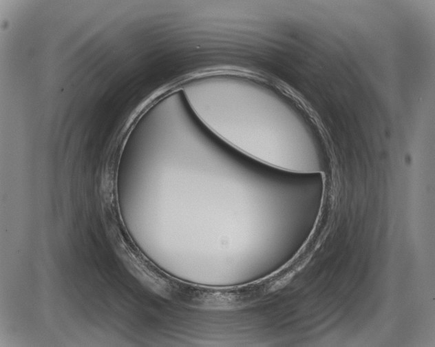 X0000086101321200703231040