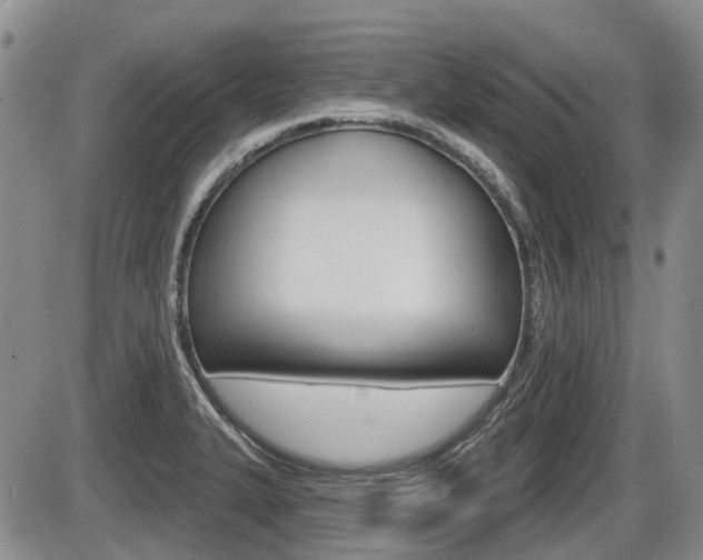 X0000086101327200703231040