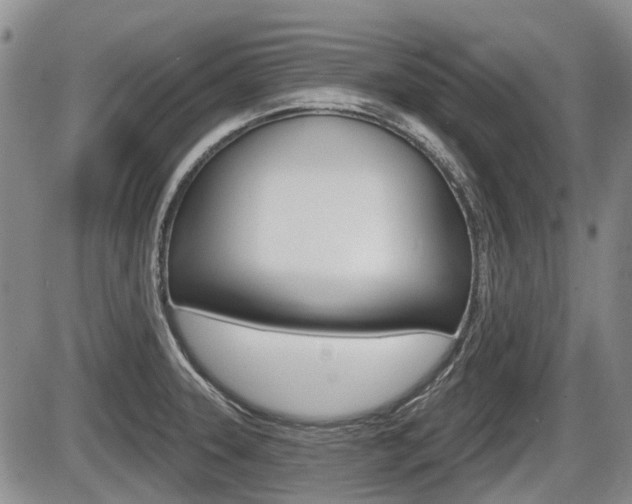 X0000086101331200703231041