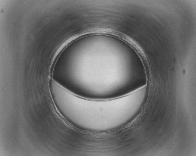 X0000086101332200703231041