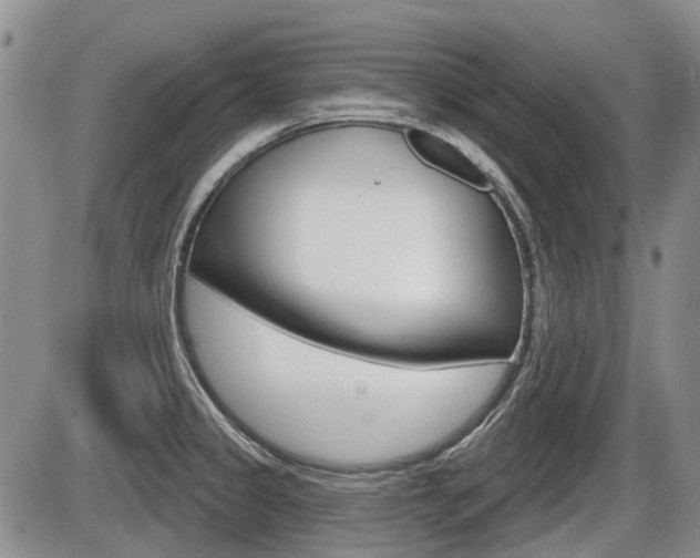 X0000086101333200703231041