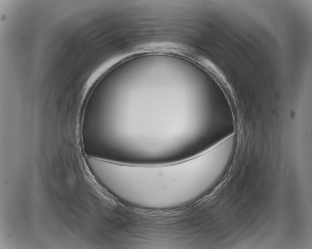 X0000086101336200703231041