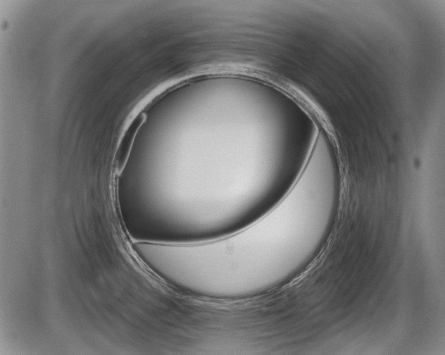 X0000086101340200703231041