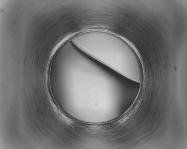 X0000086101341200703231041
