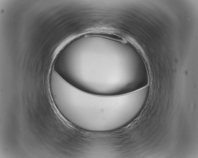 X0000086101344200703231041