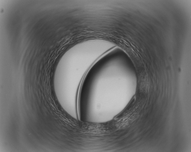 X0000086101345200703231040