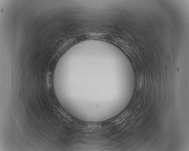 X0000086101346200703231040