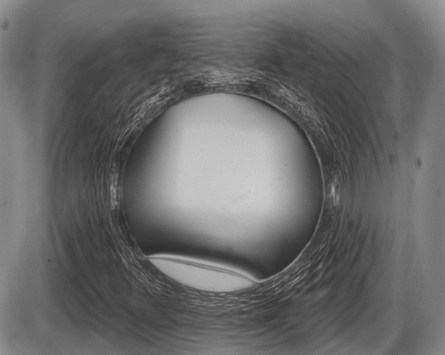 X0000086101348200703231040