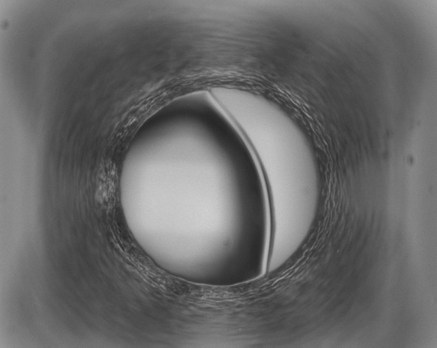 X0000086101349200703231040