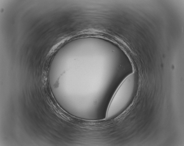 X0000086101355200703231040