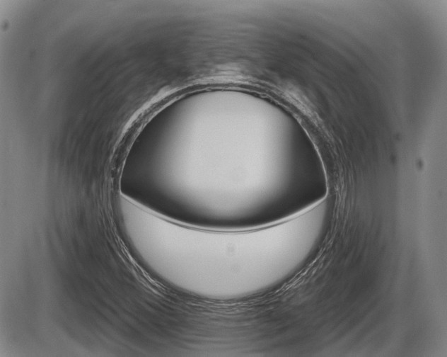 X0000086101356200703231040