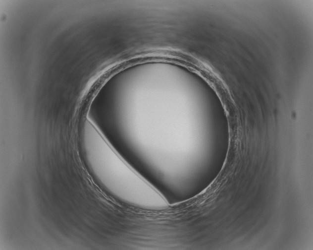 X0000086101360200703231040