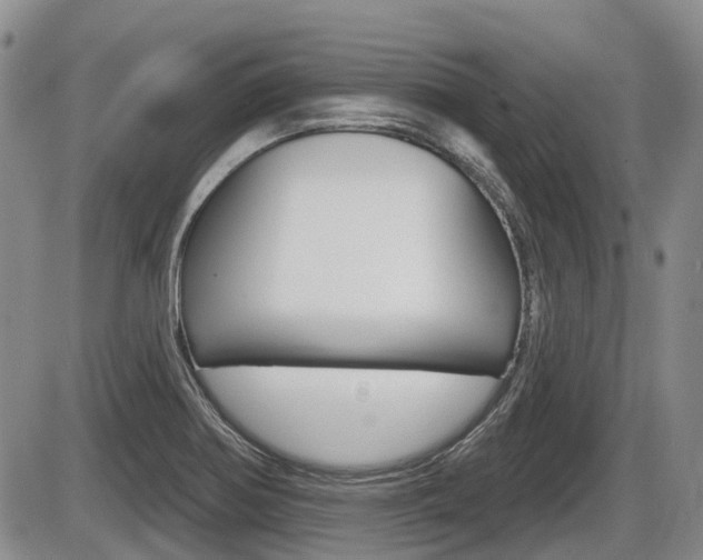 X0000086101370200703231040